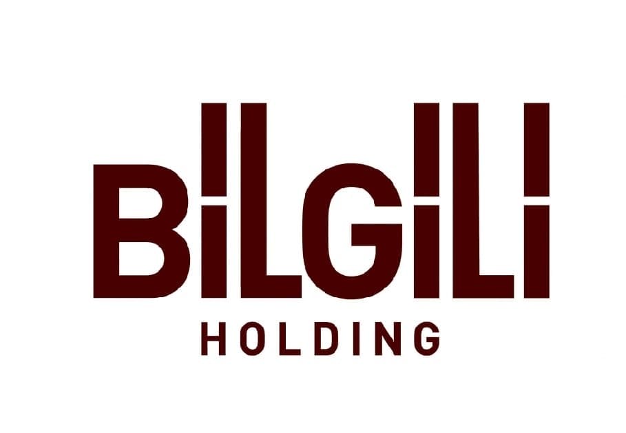 bilgi_holding_logo