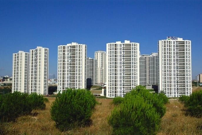 High-rise white apartment buildings stand prominently against a clear blue sky. Several green coniferous trees are in the foreground, growing on a grassy field with dry, yellow-brown grass. The buildings form a slightly curved line, showcasing their modern architectural design.
