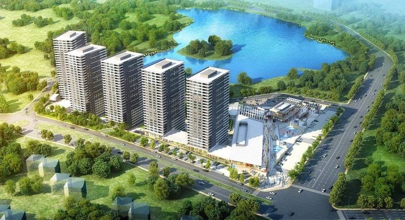 mavi-orkide-kapak-foto